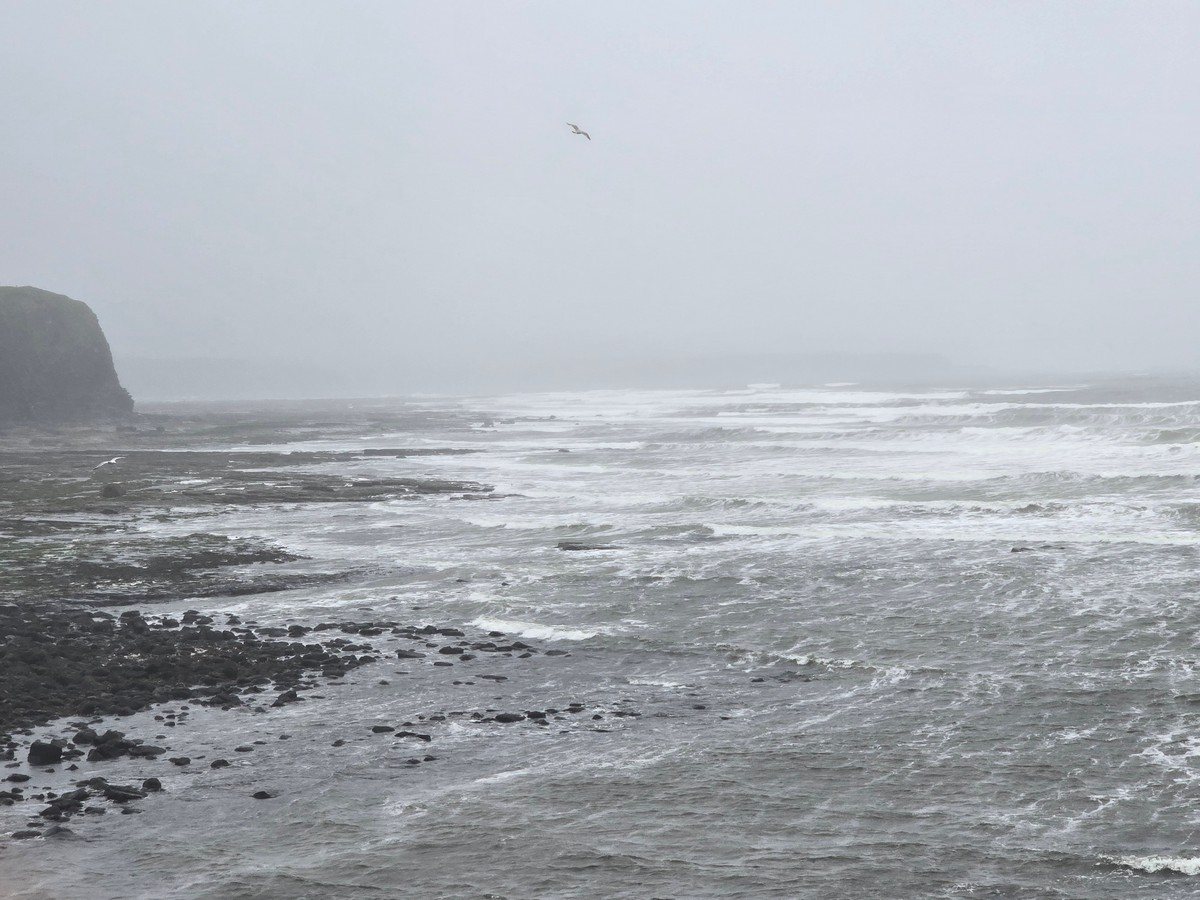 4ft waves with a strong onshore wind, 23kts W.